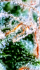 2023_08_02_16_00_13_496.png