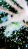 2023_08_02_16_07_36_707.png
