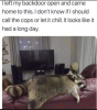 1691602449698.png