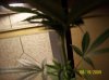 100_2114.jpg