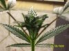 100_2106.jpg