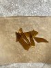 IMG_0032.jpeg