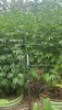 20230816_072239.jpg