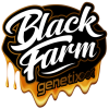 bubba-stormblack-farm-genetix-97721-0.png