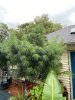 IMG_6981.jpeg
