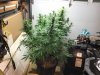 IMG_0437.jpeg