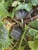 IMG_6865.jpeg