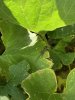IMG_6802.jpeg