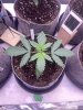 IMG_9063.jpeg