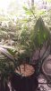 20230916_164316.jpg