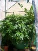 100_1693 [50%].jpg