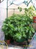 100_1697 [50%].jpg