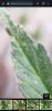 Screenshot_20230919_114359_Chrome.jpg