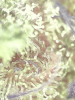 20230927_19_02_05.png
