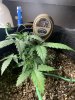 IMG_1961.jpeg