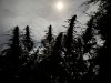 IMG_2979.jpeg