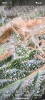 Screenshot_20231009-101122.png