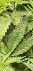 Screenshot_20231016_191643_Chrome.jpg