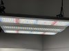 IMG_2965.jpeg