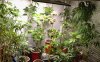 Grow.JPG
