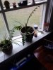 IMG_20231126_104031.jpg