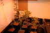 pictures 001.jpg
