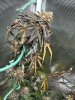 IMG_6389.jpeg
