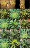 IMG_3461.jpeg