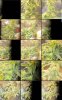 IMG_3462.jpeg IMG_3462.jpeg