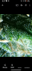 Screenshot_20231214-172719.png