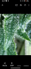 Screenshot_20231214-172727.png