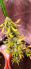 Screenshot_20231214-191209.png