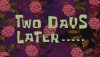 IMG_3616.jpeg
