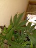 20231209_065156.jpg 20231209_065156.jpg