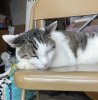 IMG_2227.jpeg