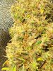 20240103_065849.jpg
