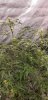 20240105_114455[1785].jpg