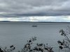IMG_9932.jpeg