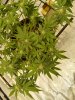 20240206_085218.jpg 20240206_085218.jpg