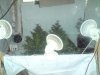 DSC00046.jpg