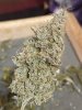 IMG_7056.jpeg