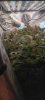20240130_230626.jpg