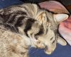 IMG_2423.jpeg