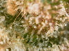Image_2024-02-25 06_46_11_346.png