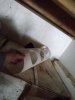 IMG_20240227_171636729.jpg