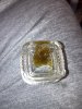 IMG_0503.jpeg