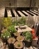 PH-B10-D_LED_GROW_LIGHT_PHLIZON (1).jpeg PH-B10-D_LED_GROW_LIGHT_PHLIZON (1).jpeg