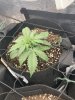 IMG_0757.jpeg