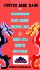 NEW TOP DAWG - DOUBLE DRAGON.jpg