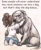 IMG_6358.jpeg